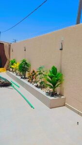 أحواض زراعية